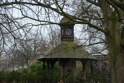 DSC_6223 (Large).JPG